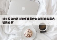 硅谷投资的区块链项目是什么公司[硅谷最大骗局启示]